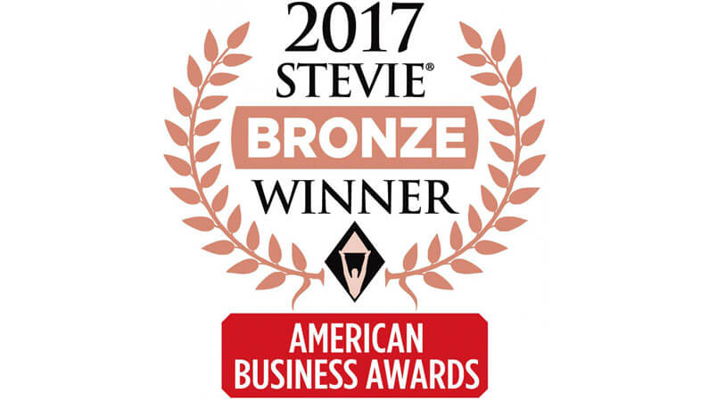 MELT Named Marketing/Advertising Agency of the Year In 2017 American Business Awards