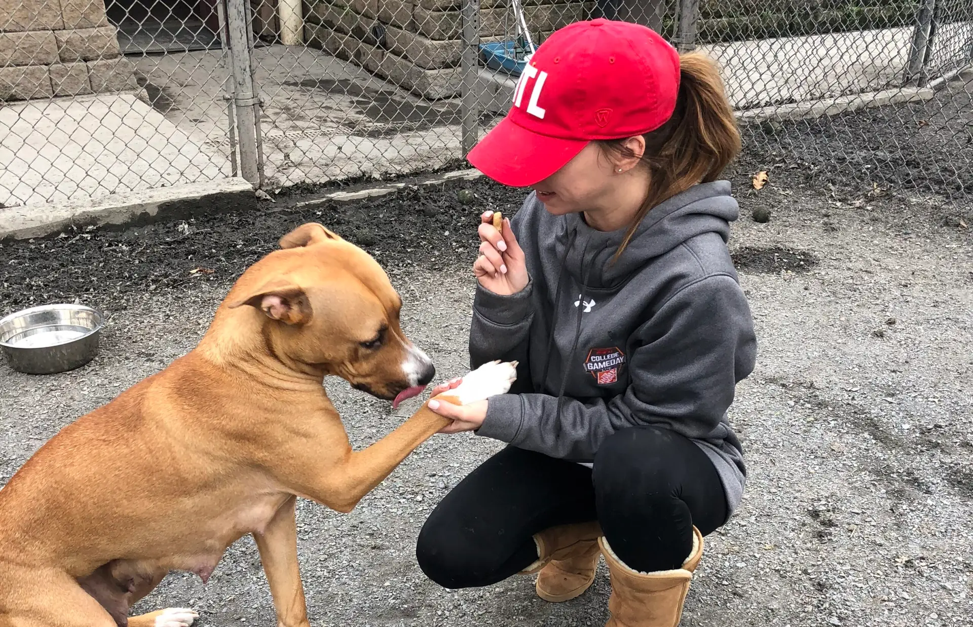 MELT Sending the Love to Fifteen Lucky Animals on this Valentine’s Day!