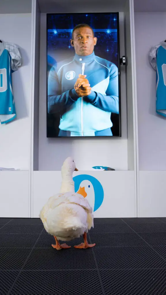 Aflac: The Duck House