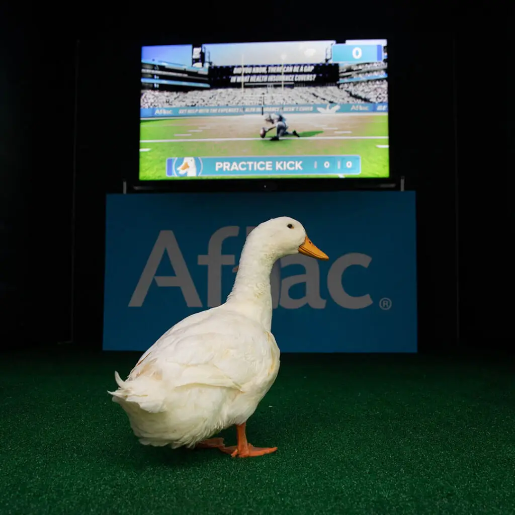 Aflac: The Duck House