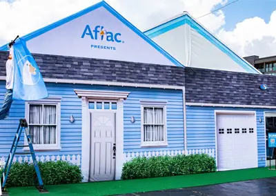 Aflac: The Duck House