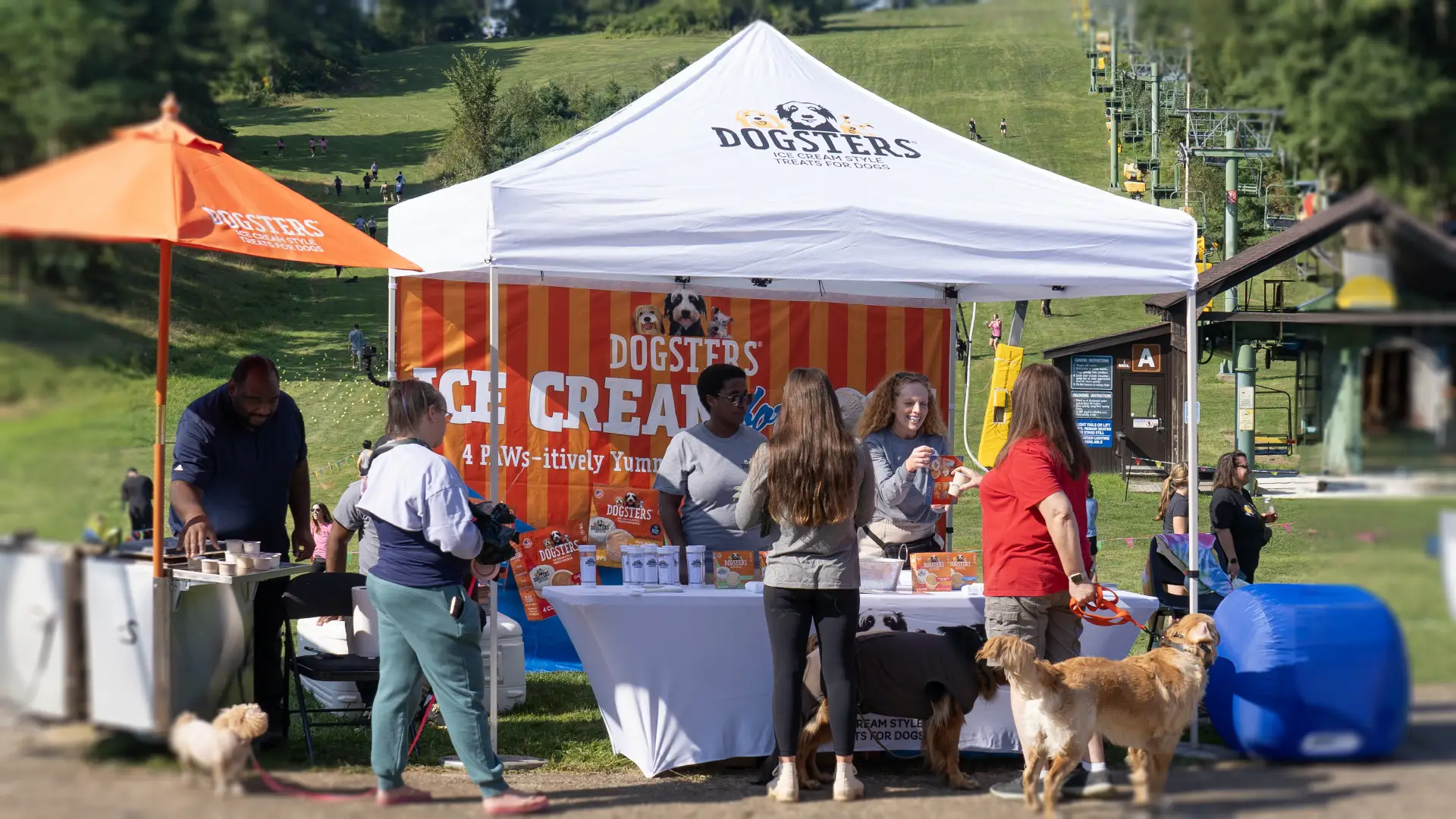 Dogsters Dog Derby — MELT case study