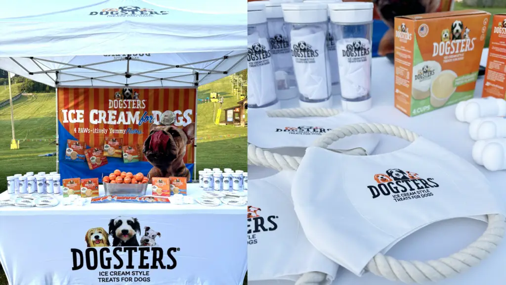 Dogsters Dog Derby