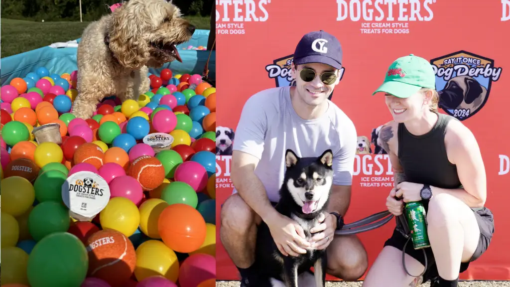 Dogsters Dog Derby