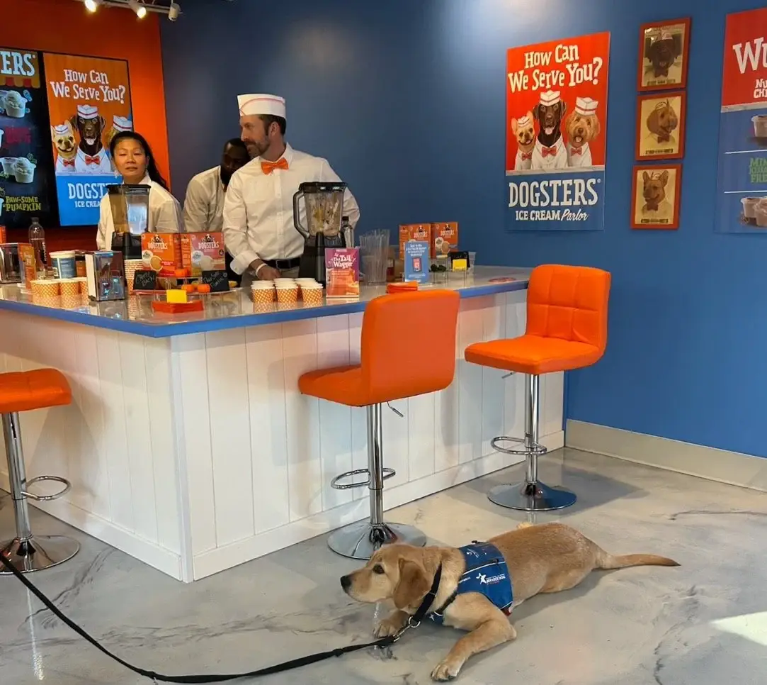 Custom activation build with brand ambassadors