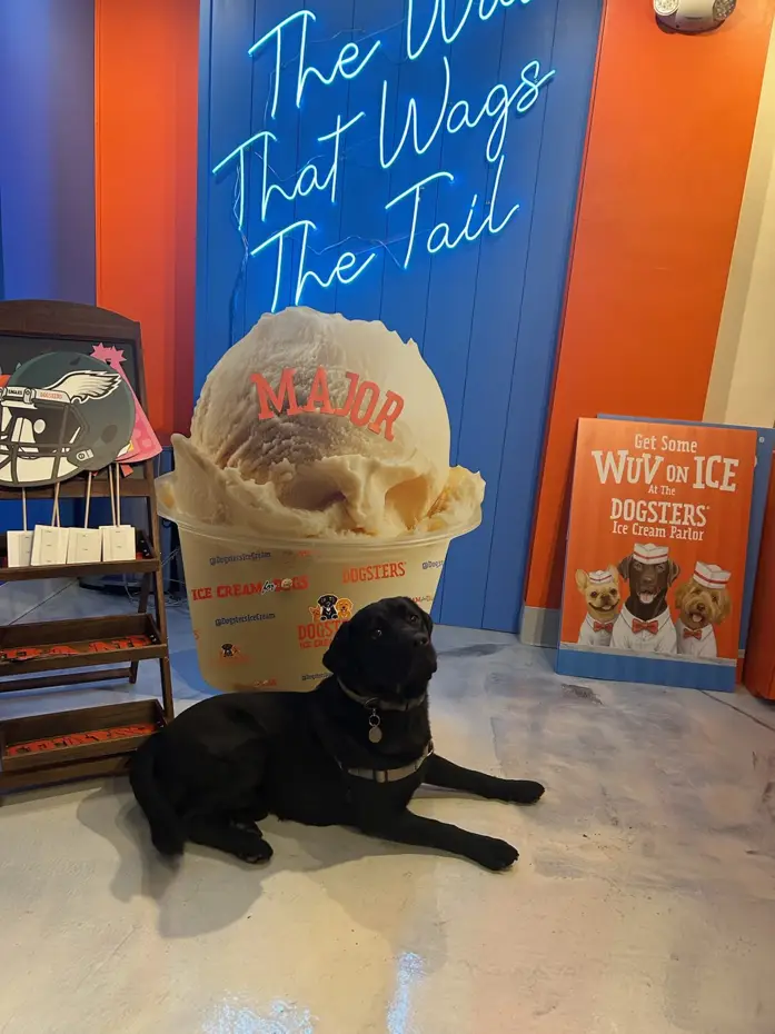 Dogsters Ice Cream Parlor