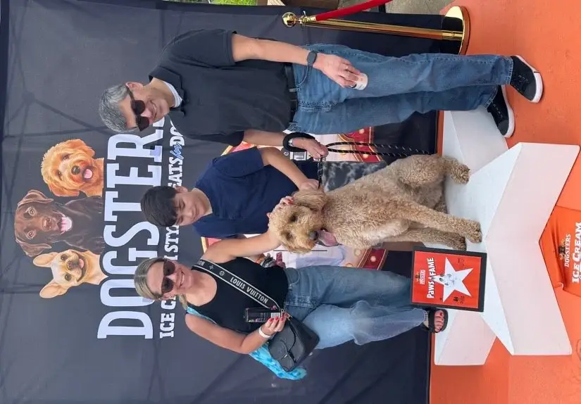 Bark in the Park