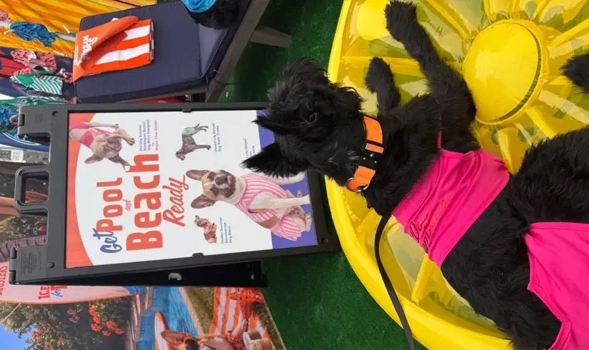 Dog Derby in Pittsburgh